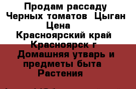 Продам рассаду Черных томатов( Цыган) › Цена ­ 25 - Красноярский край, Красноярск г. Домашняя утварь и предметы быта » Растения   